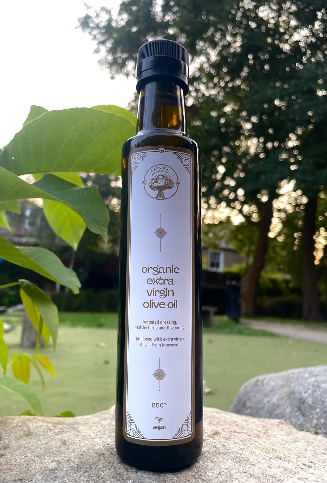 Premium Moroccan Olive Oil
